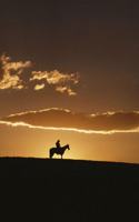 2020 Weekly Planner Horse Photo Equine Breathtaking Cowboy Sunset 134 Pages