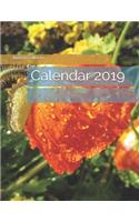 Calendar 2019
