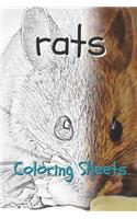 Rat Coloring Sheets