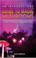 Introductory Guide to Magic Mushrooms