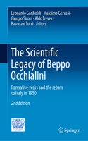 Scientific Legacy of Beppo Occhialini