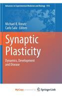 Synaptic Plasticity