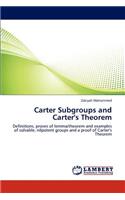 Carter Subgroups and Carter's Theorem