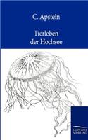 Tierleben der Hochsee