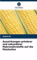 Auswirkungen primärer und sekundärer Makronährstoffe auf die Maiskultur