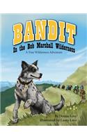 Bandit In The Bob Marshall Wilderness