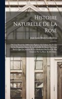 Histoire Naturelle De La Rose