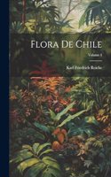 Flora De Chile; Volume 4