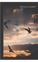 Seagulls Sunset