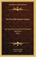 New Or Little Known Grasses