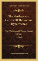 Northeastern Carices Of The Section Hyparrhenae