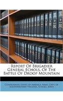 Report of Brigadier General Echols, of the Battle of Droop Mountain