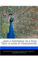 ...and a Partridge in a Pear Tree: A Look at Phasianidae