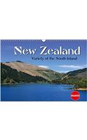 New Zealand  Variety of the South Island 2017