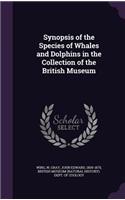 Synopsis of the Species of Whales and Dolphins in the Collection of the British Museum