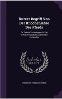 Kurzer Begriff Von Der Knochenlehre Des Pferds