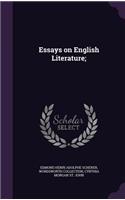 Essays on English Literature;
