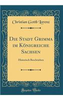 Die Stadt Grimma Im KÃ¶nigreiche Sachsen: Historisch Beschrieben (Classic Reprint)