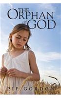 The Orphan of God: A Memoir(English)
