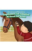 Cepillamos Los Caballos / We Brush the Horses