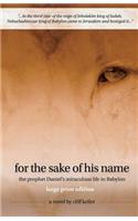 For the Sake of His Name