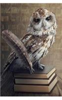 Wise Old Owl Perched on Books Illustration Journal: 150 Page Lined Notebook/Diary