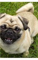 A Happy Smiling Tan Pug Puppy Dog Pet Journal