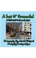Lot O' Granada, A Kid's Guide To Granada, Spain