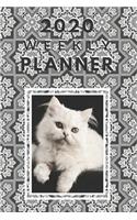 Weekly Planner: 53 week planner with an ADORABLE WHITE CAT cover for CAT lovers - with a month at a glance to help you organize and plan your everyday activities.