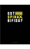 Got Spina Bifida?: Accounts Journal