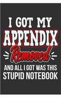I Got My Appendix Removed And All I Got Was This Stupid Notebook: After surgery gifts, appendix removal gifts, surgery recovery gifts, appendix surgery gifts 6x9 Journal Gift Notebook with 125 Lined Pages