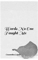 Words No One Taught Me