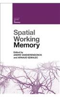 Spatial Working Memory