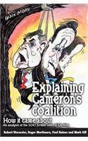 Explaining Cameron's Coalition