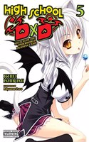 High School DXD, Vol. 5 (Light Novel)