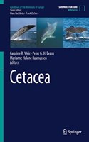 Cetacea