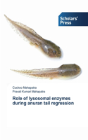 Role of lysosomal enzymes during anuran tail regression