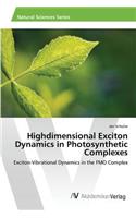 Highdimensional Exciton Dynamics in Photosynthetic Complexes