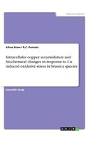 Intracellular copper accumulation and biochemical changes in response to Cu induced oxidative stress in brassica species