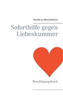 Soforthilfe gegen Liebeskummer: Bewältigungsbuch