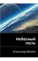 Небесный гость