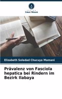 Prävalenz von Fasciola hepatica bei Rindern im Bezirk Ilabaya