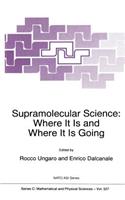 Supramolecular Science: Where It Is and Where It Is Going(527 Nato Science Series C:)