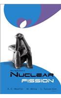 New Applications of Nuclear Fission: Proceedings of the International Workshop