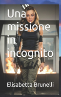 Una missione in incognito