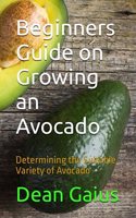 Beginners Guide on Growing an Avocado