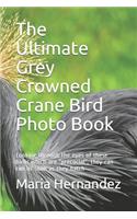 The Ultimate Grey Crowned Crane Bird Photo Book: Looking through the eyes of these birds which are "precocial", they can run as soon as they hatch