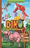 Livre de Coloriage Dinosaures avec modèles Noir et Blanc - 6 ans et plus