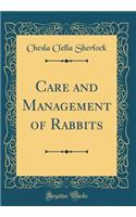 Care and Management of Rabbits (Classic Reprint)