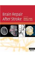 Brain Repair After Stroke